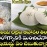 Health tips: పులియ బెట్టిన ఆహారం తింటే ఆరోగ్యానికి మంచిదేనా.. డైటీషియన్లు ఏం చెబుతున్నారంటే..